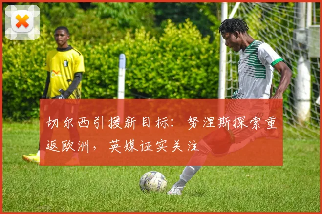 切尔西引援新目标：努涅斯探索重返欧洲，英媒证实关注