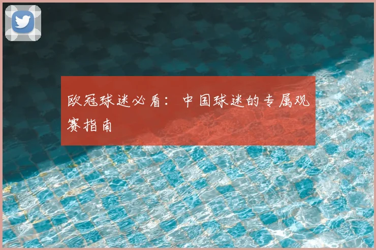 欧冠球迷必看：中国球迷的专属观赛指南